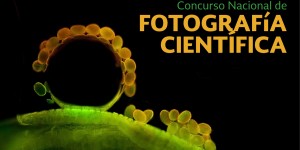 fotografia-cientifica bannerr