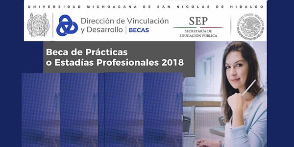 DV becas prácticas o estadías profesionales bnnR